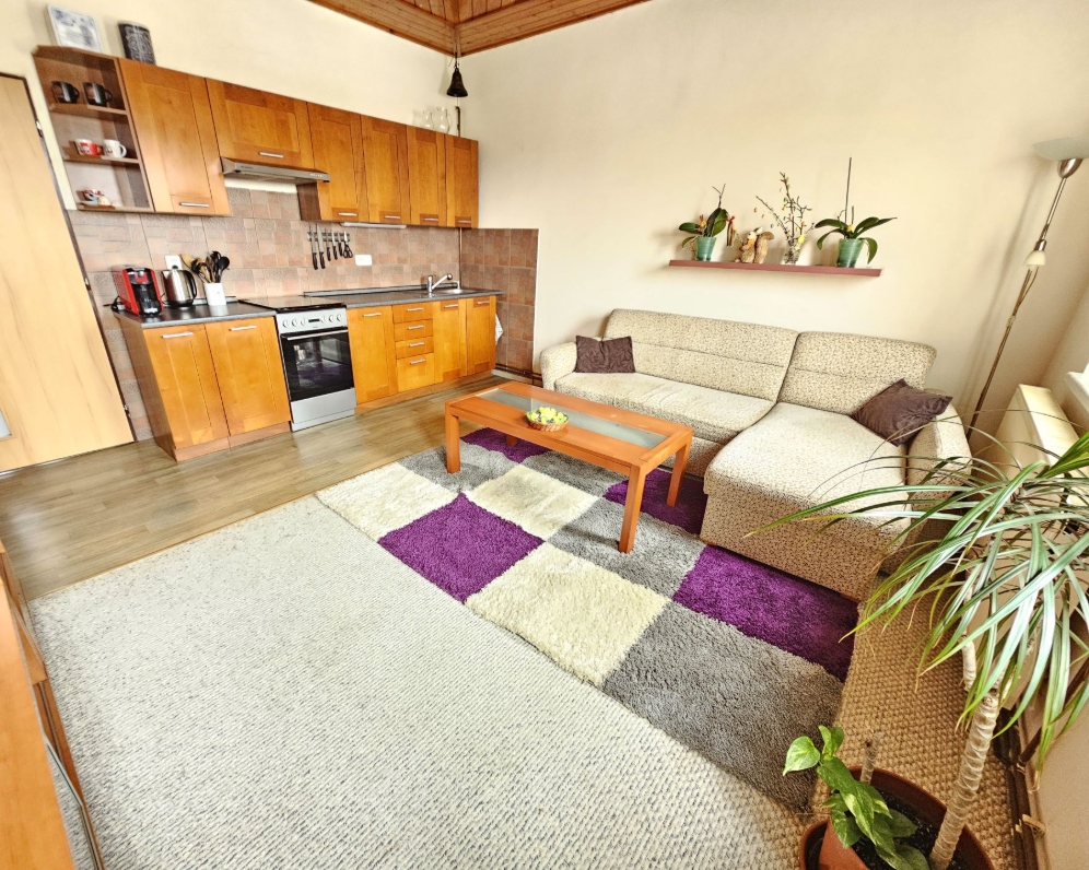 Prodej bytu 3+kk, Nový Jičín