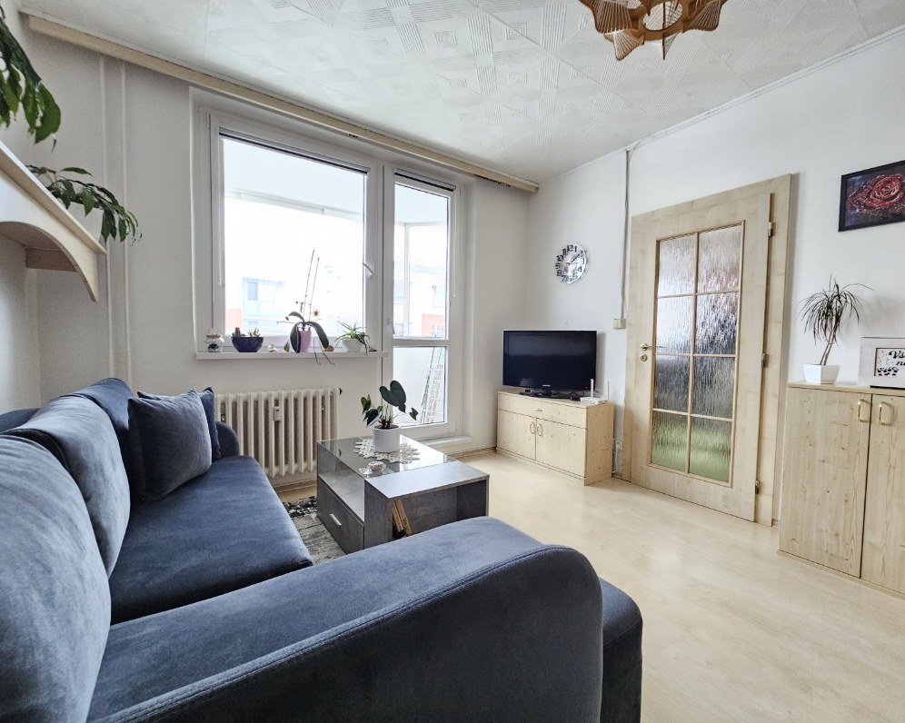 Prodej bytu 2+1, Velké Opatovice